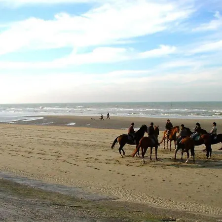 Seafront With Garage * Blankenberge